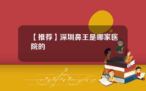 【推荐】深圳鼻王是哪家医院的