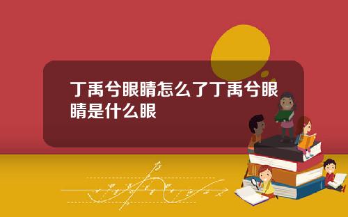 丁禹兮眼睛怎么了丁禹兮眼睛是什么眼