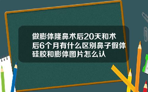 做膨体隆鼻术后20天和术后6个月有什么区别鼻子假体硅胶和膨体图片怎么认