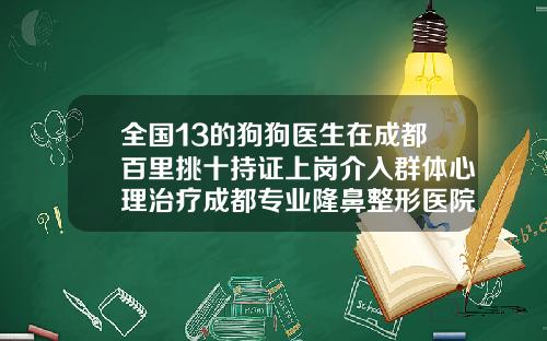 全国13的狗狗医生在成都百里挑十持证上岗介入群体心理治疗成都专业隆鼻整形医院排名