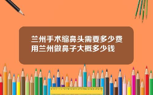 兰州手术缩鼻头需要多少费用兰州做鼻子大概多少钱