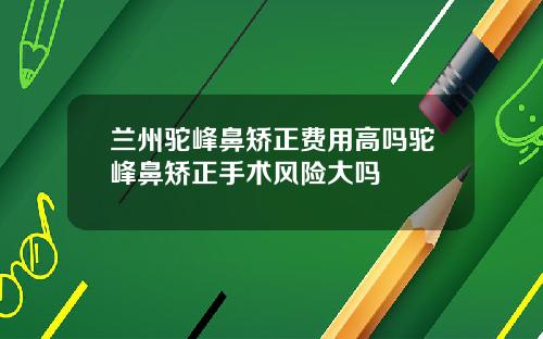 兰州驼峰鼻矫正费用高吗驼峰鼻矫正手术风险大吗
