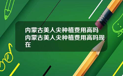 内蒙古美人尖种植费用高吗内蒙古美人尖种植费用高吗现在