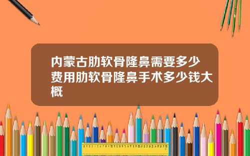 内蒙古肋软骨隆鼻需要多少费用肋软骨隆鼻手术多少钱大概