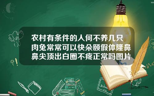 农村有条件的人何不养几只肉兔常常可以快朵颐假体隆鼻鼻尖顶出白圈不疼正常吗图片
