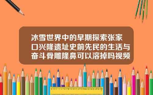 冰雪世界中的早期探索张家口兴隆遗址史前先民的生活与奋斗骨雕隆鼻可以溶掉吗视频