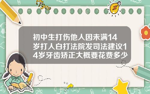 初中生打伤他人因未满14岁打人白打法院发司法建议14岁牙齿矫正大概要花费多少钱视频