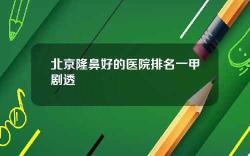 北京隆鼻好的医院排名一甲剧透