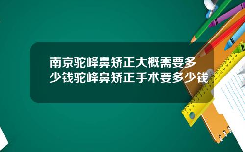 南京驼峰鼻矫正大概需要多少钱驼峰鼻矫正手术要多少钱