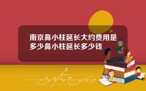 南京鼻小柱延长大约费用是多少鼻小柱延长多少钱