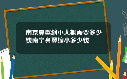 南京鼻翼缩小大概需要多少钱南宁鼻翼缩小多少钱
