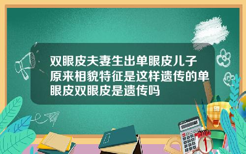双眼皮夫妻生出单眼皮儿子原来相貌特征是这样遗传的单眼皮双眼皮是遗传吗