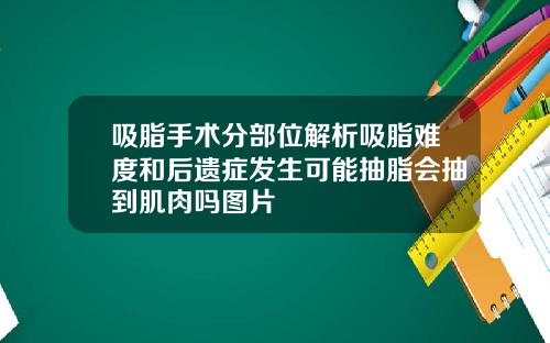 吸脂手术分部位解析吸脂难度和后遗症发生可能抽脂会抽到肌肉吗图片