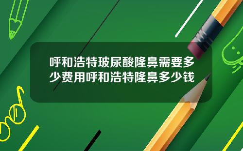 呼和浩特玻尿酸隆鼻需要多少费用呼和浩特隆鼻多少钱