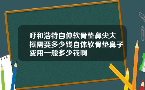 呼和浩特自体软骨垫鼻尖大概需要多少钱自体软骨垫鼻子费用一般多少钱啊