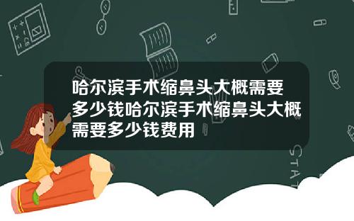 哈尔滨手术缩鼻头大概需要多少钱哈尔滨手术缩鼻头大概需要多少钱费用