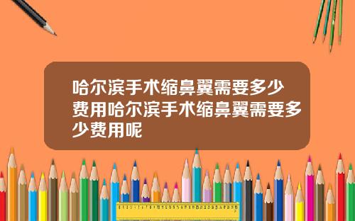 哈尔滨手术缩鼻翼需要多少费用哈尔滨手术缩鼻翼需要多少费用呢