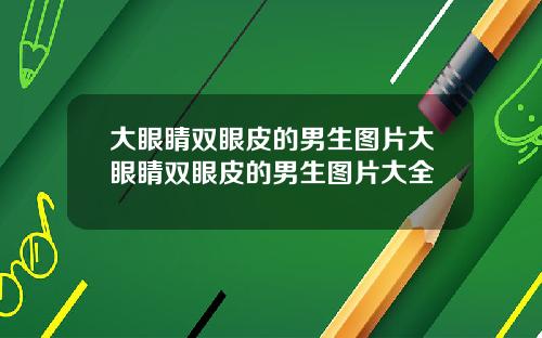 大眼睛双眼皮的男生图片大眼睛双眼皮的男生图片大全