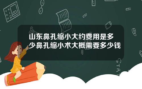 山东鼻孔缩小大约费用是多少鼻孔缩小术大概需要多少钱