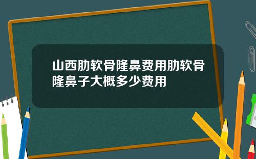 山西肋软骨隆鼻费用肋软骨隆鼻子大概多少费用