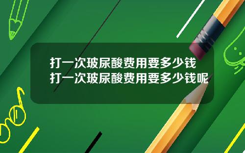 打一次玻尿酸费用要多少钱打一次玻尿酸费用要多少钱呢