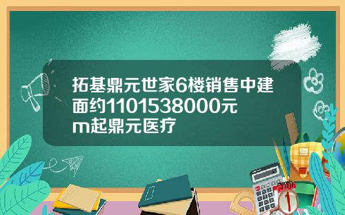 拓基鼎元世家6楼销售中建面约1101538000元m起鼎元医疗