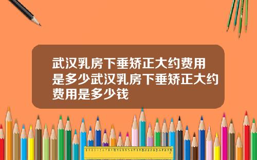武汉乳房下垂矫正大约费用是多少武汉乳房下垂矫正大约费用是多少钱