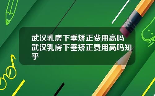 武汉乳房下垂矫正费用高吗武汉乳房下垂矫正费用高吗知乎