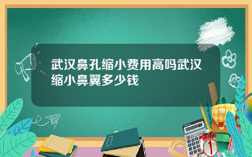 武汉鼻孔缩小费用高吗武汉缩小鼻翼多少钱