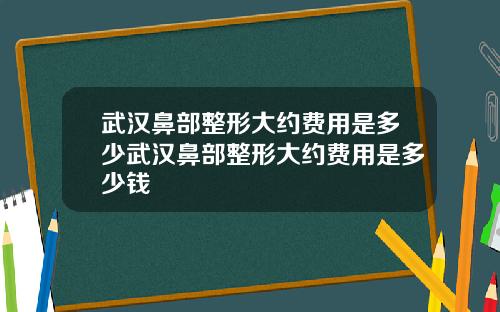 武汉鼻部整形大约费用是多少武汉鼻部整形大约费用是多少钱