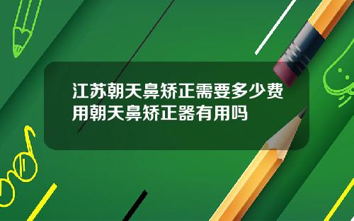 江苏朝天鼻矫正需要多少费用朝天鼻矫正器有用吗