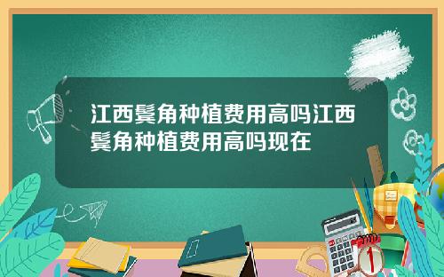 江西鬓角种植费用高吗江西鬓角种植费用高吗现在