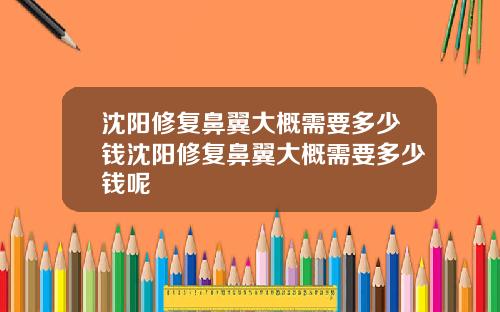 沈阳修复鼻翼大概需要多少钱沈阳修复鼻翼大概需要多少钱呢