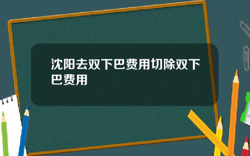 沈阳去双下巴费用切除双下巴费用