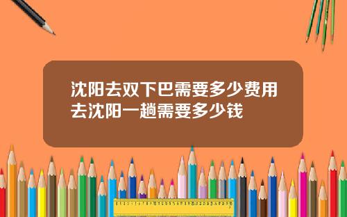 沈阳去双下巴需要多少费用去沈阳一趟需要多少钱