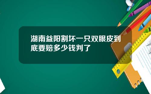 湖南益阳割坏一只双眼皮到底要赔多少钱判了