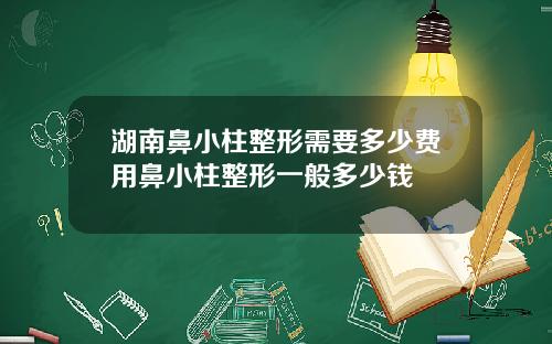 湖南鼻小柱整形需要多少费用鼻小柱整形一般多少钱