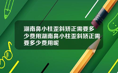 湖南鼻小柱歪斜矫正需要多少费用湖南鼻小柱歪斜矫正需要多少费用呢