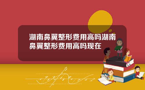 湖南鼻翼整形费用高吗湖南鼻翼整形费用高吗现在