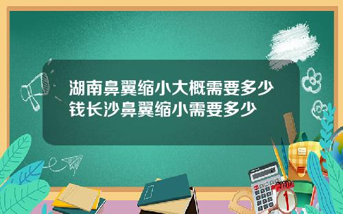 湖南鼻翼缩小大概需要多少钱长沙鼻翼缩小需要多少