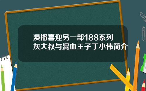 漫播喜迎另一部188系列灰大叔与混血王子丁小伟简介