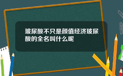 玻尿酸不只是颜值经济玻尿酸的全名叫什么呢