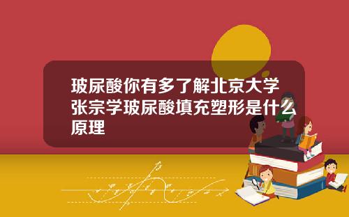 玻尿酸你有多了解北京大学张宗学玻尿酸填充塑形是什么原理