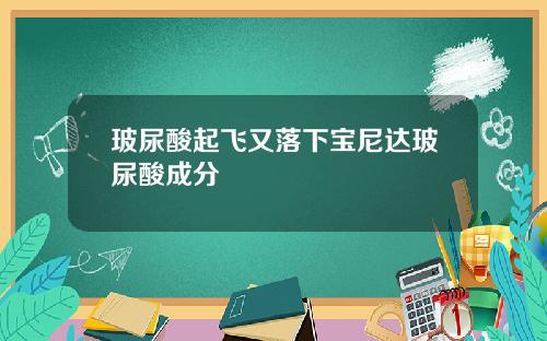 玻尿酸起飞又落下宝尼达玻尿酸成分