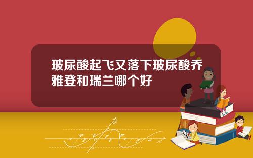 玻尿酸起飞又落下玻尿酸乔雅登和瑞兰哪个好