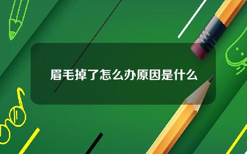 眉毛掉了怎么办原因是什么