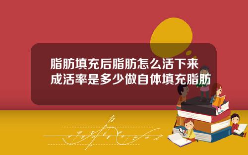 脂肪填充后脂肪怎么活下来成活率是多少做自体填充脂肪