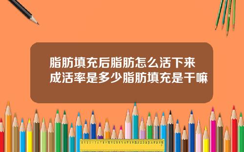 脂肪填充后脂肪怎么活下来成活率是多少脂肪填充是干嘛