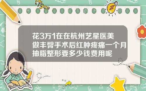花3万1在在杭州艺星医美做丰臀手术后红肿疼痛一个月抽脂整形要多少钱费用呢