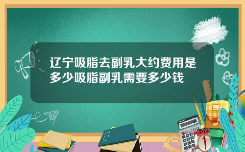 辽宁吸脂去副乳大约费用是多少吸脂副乳需要多少钱